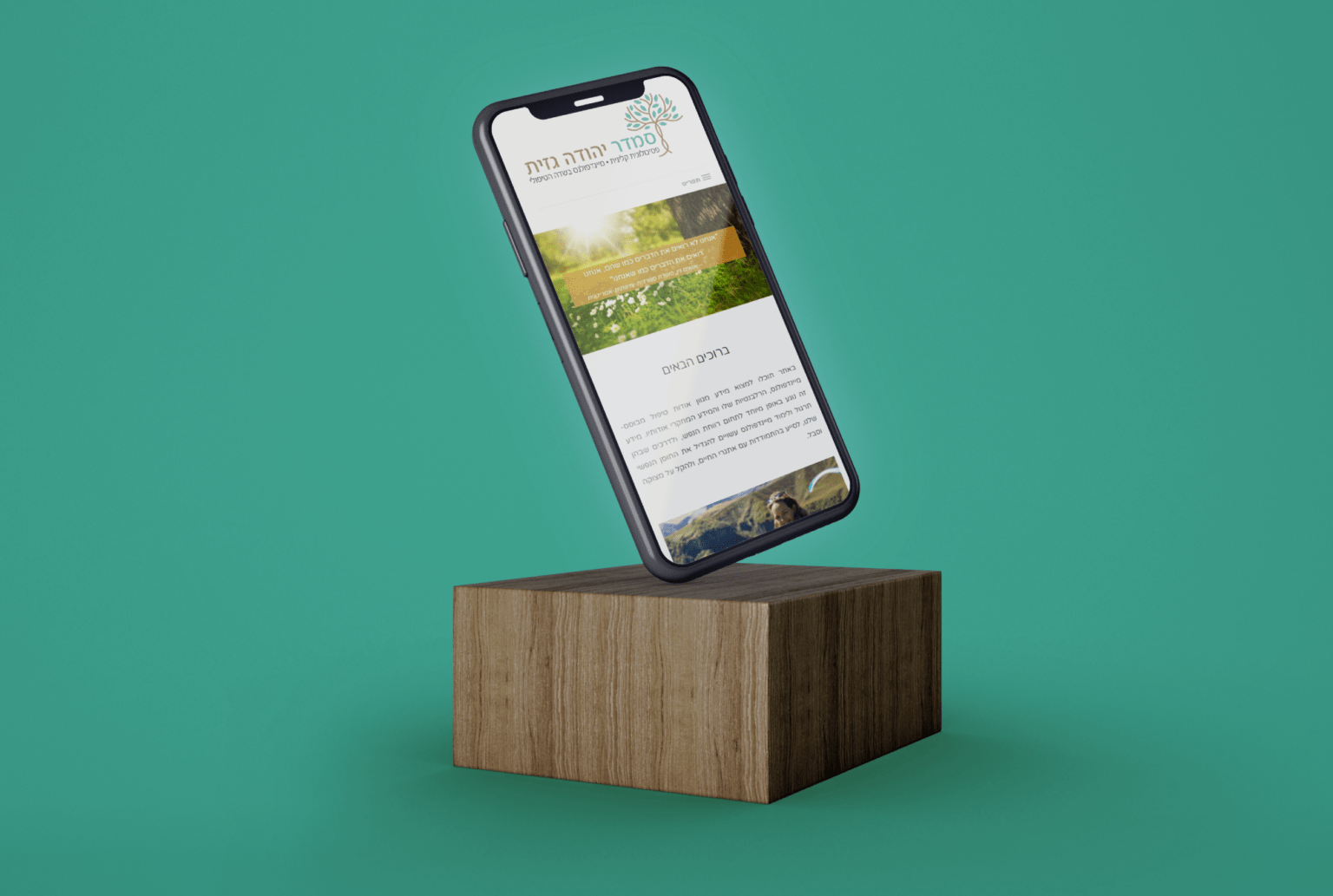 הדמייה אתר MBCT